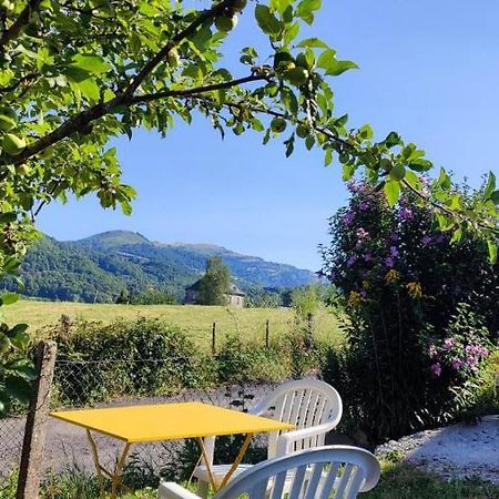 La Basse-Cour Apartment Vic sur Cere Bagian luar foto