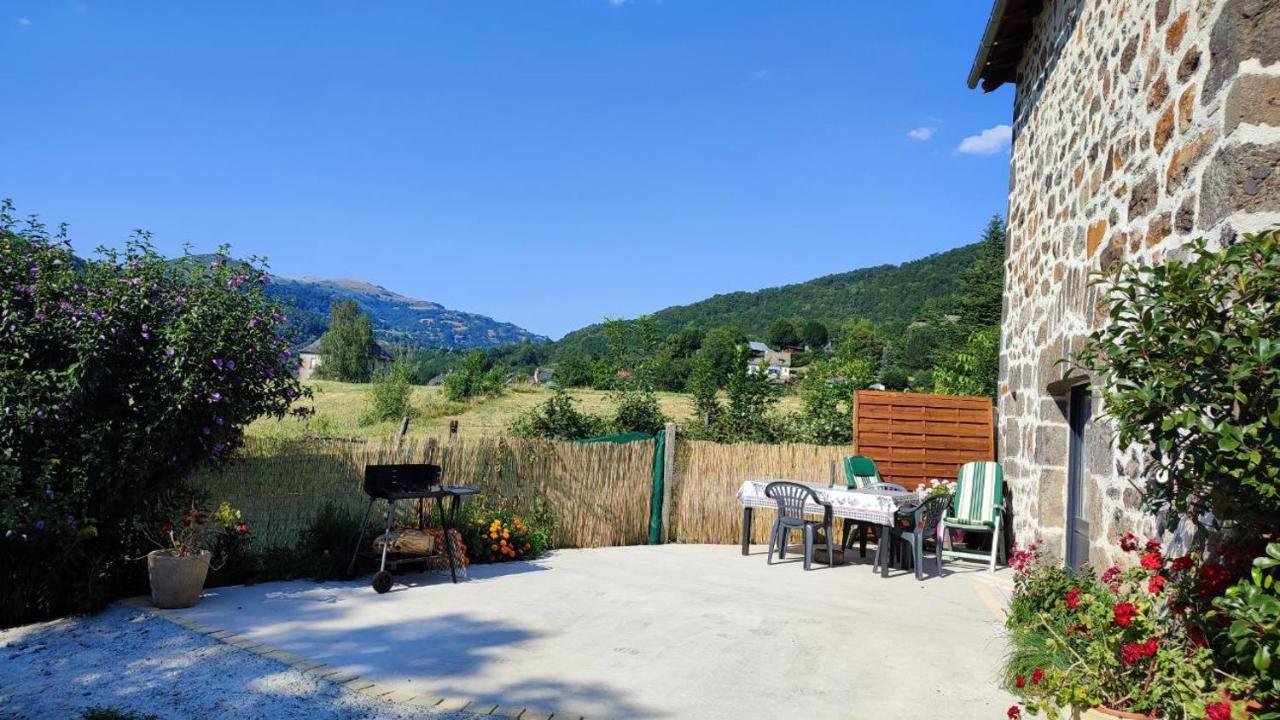 La Basse-Cour Apartment Vic sur Cere Bagian luar foto